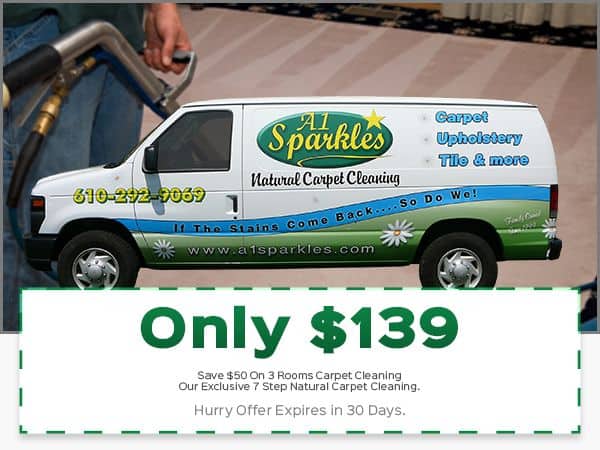 Holiday Carpet Cleaning Coupon