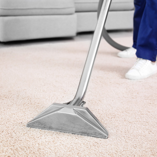 A1 Sparkles Technician professionally cleaning carpet in Philadelphia